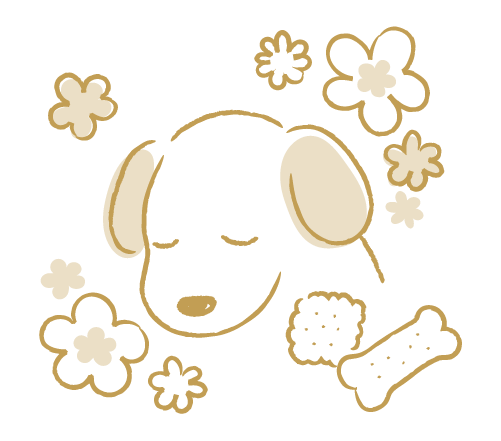 祭壇にてお参り